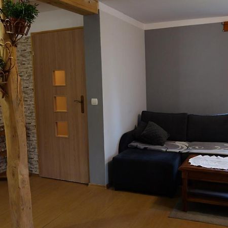 Apartamenty Lucky-Ski Ustrzyki Dolne Bagian luar foto