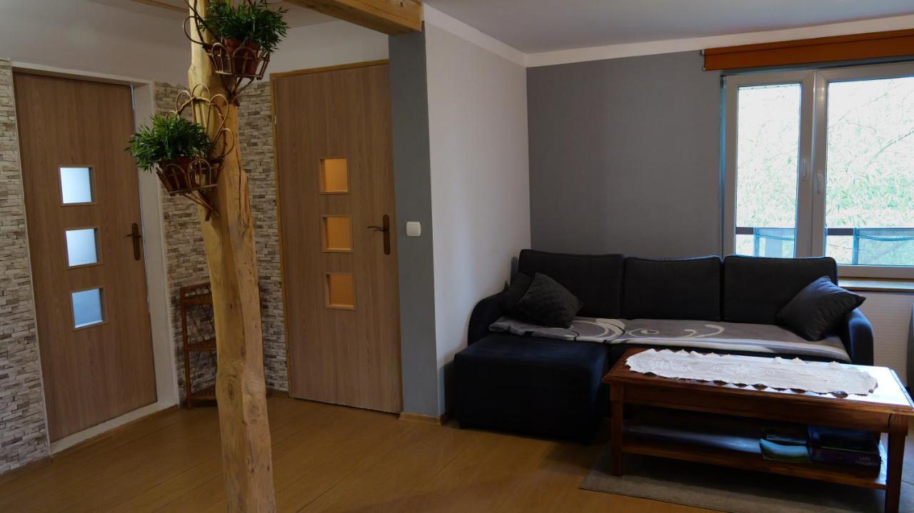 Apartamenty Lucky-Ski Ustrzyki Dolne Bagian luar foto